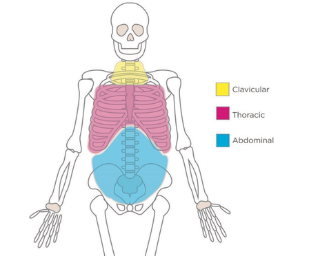 Three zones of breathing shown on the torso: abdominal, ribcage and supraclavicular breathing