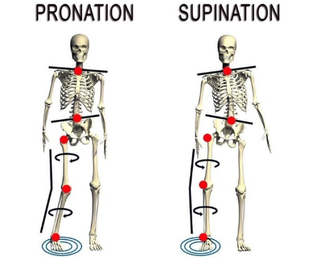 Foot stability illustration showing how pronation and supination may affect alignment up the body